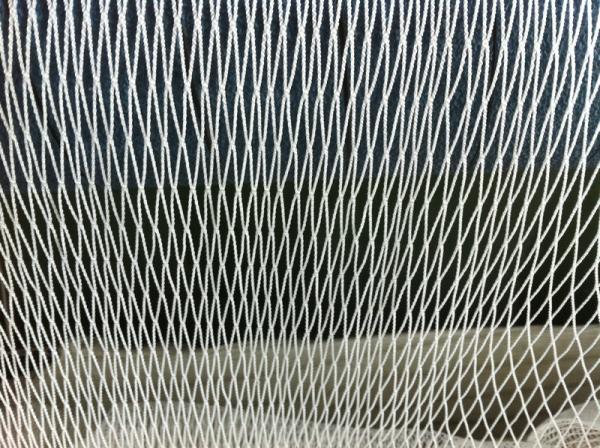 Buy cheap Heavy Duty Cast Sea Knotless Fishing Nets , Custom PE / PET / NYLON Fish Net from wholesalers