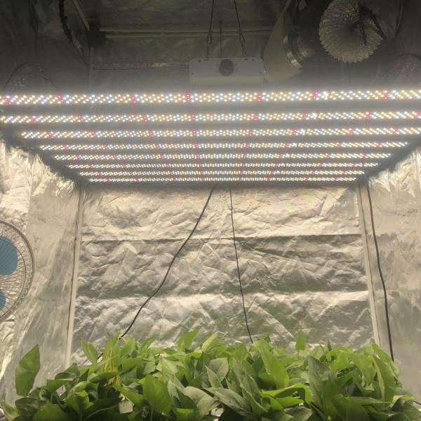 Buy cheap Full Spectrum Dimmable 600W Plant Light Bar For Greenhouse from wholesalers
