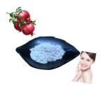 Fine White Powder Pomegranate Extract Ellagic Acid Inhibiting Melanin