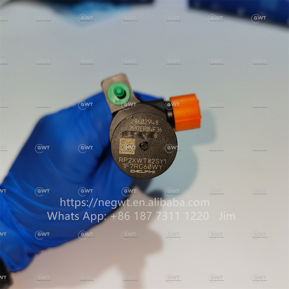 Common DELPHI Diesel Fuel Injectors 9674984080 DS7Q-9F593-BB 28319895 28388960 28602948