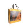 Buy cheap PP Non Woven Shopping Bag Large Capacity With Excellent Water Resistance from wholesalers