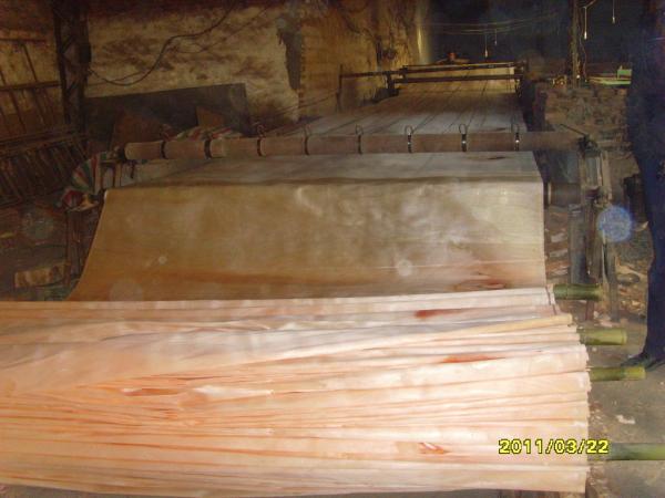 Buy cheap Rotary Cut Yellow Okoume Face Veneer , 0.20 mm - 0.60 mm Thickness from wholesalers