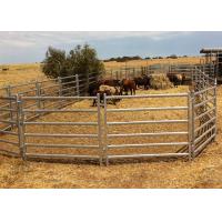 Buy cheap Round Pipe Steel Cattle Fence Panels , 6ftx7ft Galvanized Corral Panels product