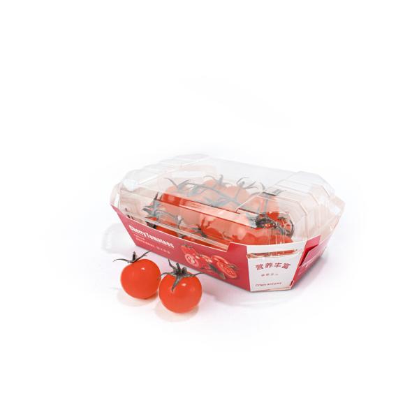 Buy cheap Cherry Fruit And Vegetable Packaging Boxes , Folded Disposable Food Tray Boats from wholesalers