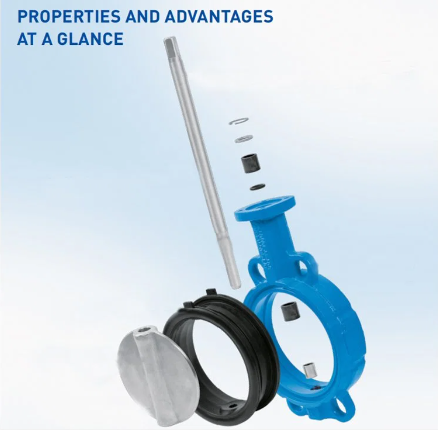 Port Size with Customer's Requirements Sea Water Butterfly Valve DN100 DN500 2" 4