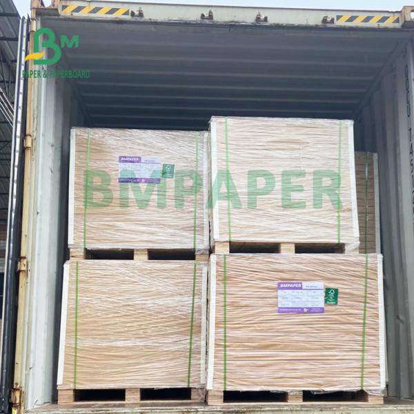 1.0mm 1.2mm Uncoated Absorbent Blotter Papel For Beer Mats 615mm X 860mm