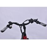 6geared E Bike Commuter , 30KG Pedal Assist Commuter Bike 250w