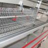 Buy cheap Low Disease Baby Chick Cage 195 * 50 * 35CM Size 20 Years Life Span Free Design from wholesalers