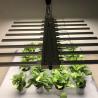 Buy cheap Waterproof Commercial Horticulture 660nm Bar Led Grow Lights from wholesalers