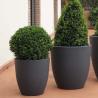 Buy cheap Flower Pot Aluminum Rotational Molds Planter Mold from wholesalers