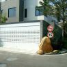 Buy cheap High Security Aluminum Roller Shutter Door For Commercial Buildings from wholesalers