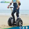 Buy cheap 2 Wheel Self Balancing Scooter Off Road Segway Brushless Motor 4000w 110-240V from wholesalers