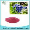 Buy cheap 100% Natural Fruit Dried Blueberry Powder from wholesalers