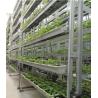 Buy cheap Upward Circulating Rice Seedlings Cultivating Machine For 20 Acres Transplanting from wholesalers