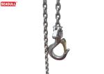 Portable Chain Lever Hoist 500kg With Durable Powder Coat Finish