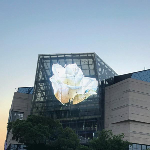 Buy cheap Natural Convection Mesh Glass Outdoor Fixed Led Curtain Facade On Building from wholesalers