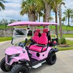 2+2-Seater Luxury Pink Electric Golf Cart With High Horsepower 14-Inch Off-Road