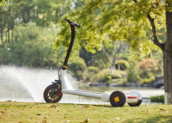 Buy cheap DC brushless hub motor 30KG Electric Kick Scooter from wholesalers