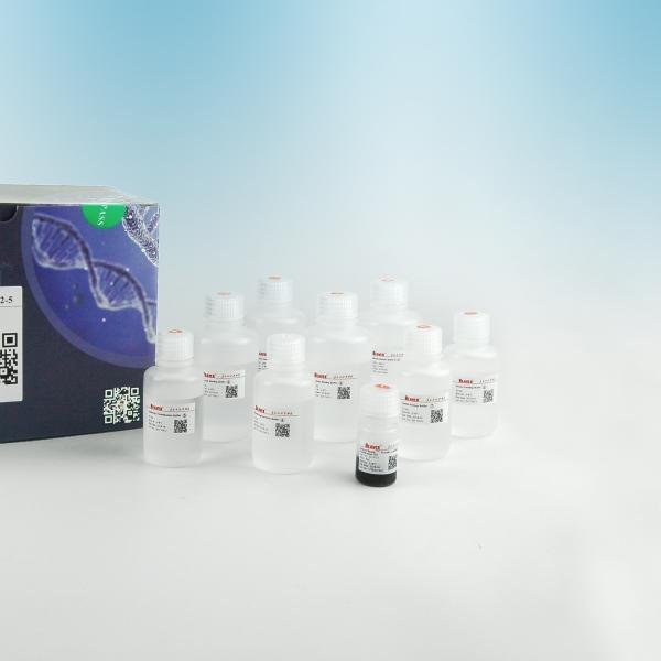 2μm 30 mg / mL 25 mL Protein A Antibody Purification Kit For Protein Purificatio