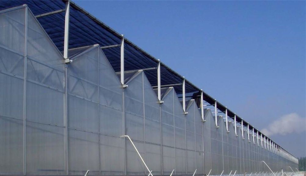 China Origin Snow Vibrator Greenhouse for Agriculture