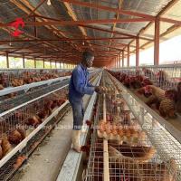 Buy cheap Easily Assemble 2.4mm Chicken Battery Cage Galvanized A Frame Emily product