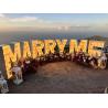 Buy cheap Customized Marquee Light Up Letters Neon Sign for Your Wedding A Match Made in Heaven from wholesalers