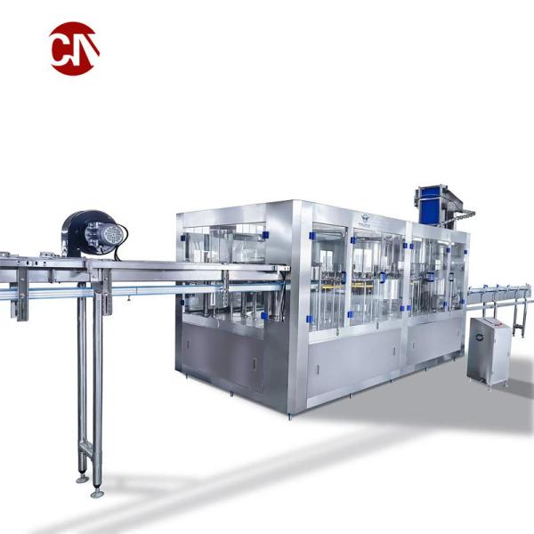 The Water Production Line with Blowing/Water Treatment/Filling/Labelling