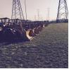 Buy cheap HDPE Plastic Stabilized Gravel Paver for Stable and Soil Grid Stone in Hotel Industry from wholesalers