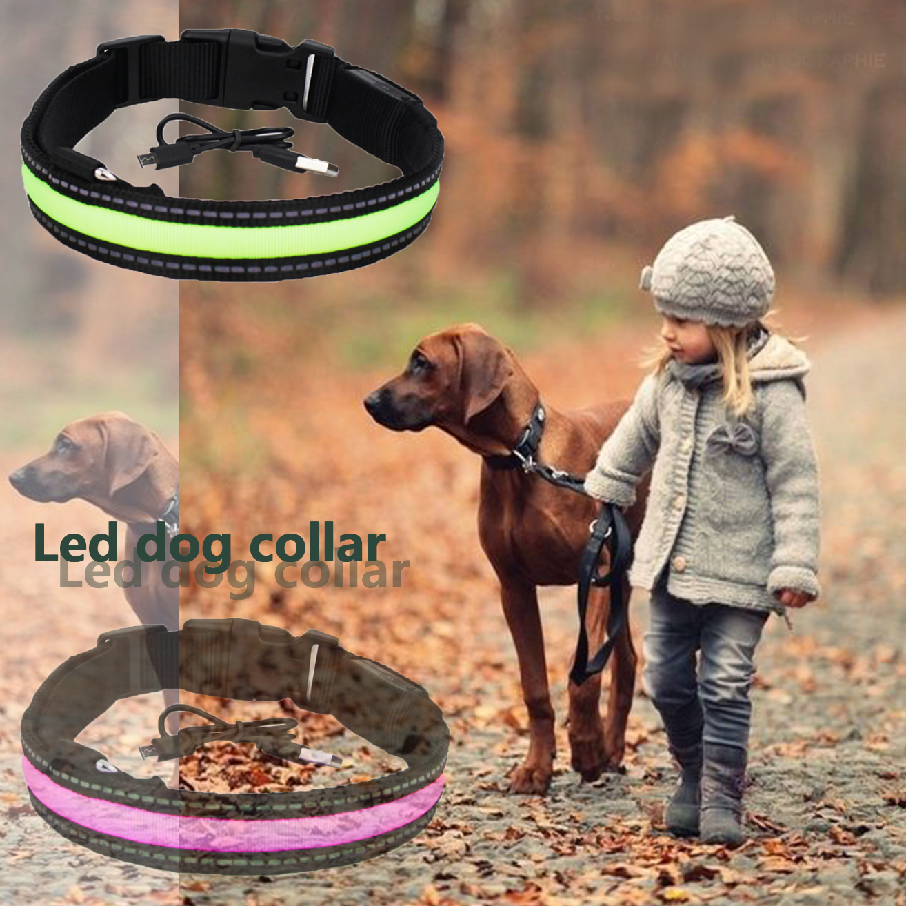 Custom Nylon Glowing Rechargeable Usb Safety Dog LED Collars