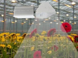 Deep Penetration Indoor Grow Lights , B281 Plus 630W MH Grow Lights For Indoor