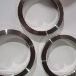 Stainless Steel API 6A SS304 BX Ring Joint Gasket