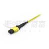 Buy cheap 12 Cores MPO Trunk Cable LSZH 2.0mm/3.0mm low loss Single-Tube Mini Cable MPO Patch Cord from wholesalers