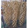 Buy cheap High Energy Efficiency Stainless Steel PVD Coating Machine Small Size from wholesalers