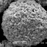 Buy cheap Ductile Atmospheric Plasma Thermal Spray Powders WC-17Co 83/17 In Petrochemical Industry from wholesalers