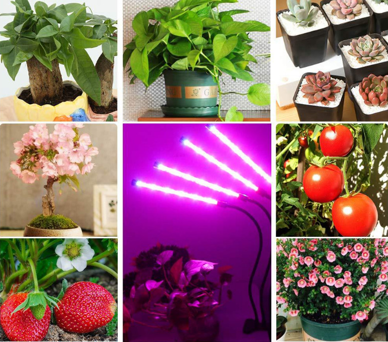 SMD5050 650nm Full Spectrum LED Grow Light