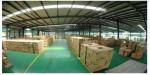 Non Rising Stem Soft Sealing Elastic Seated Flange Gate Valve for Drain in CI