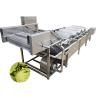 Buy cheap Automatic Vegetable Fruit Air Bubble Washing Machine from wholesalers