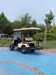 Mini Golf Cart 4 Seats Super Long Range Regenerative Braking Lightweight Design