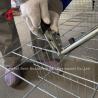 Buy cheap Hot Galvanized Q235 Steel Chicken Battery Cage For Nigeria Ghana Cameroon Chicken Farm Doris from wholesalers