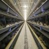 Buy cheap ISO9001 Poultry Cage from wholesalers