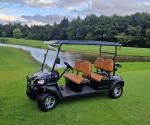 Lead-acid Battery Operated 4 Passenger Customized Off Road Electric Golf Cart