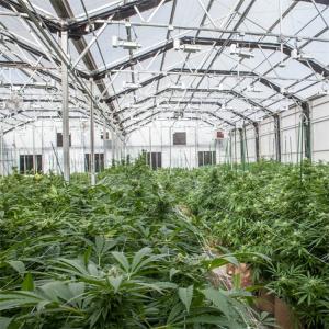 Buy cheap Ventilation System Polycarbonate Greenhouse PC Herbs Greenhouses With Blackout Curtain product