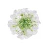 Buy cheap 17cm Artificial Flower Silk Hydrangea Heads For Home Wedding Decor from wholesalers