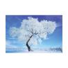 Buy cheap 0.6mm PET 40*60cm 3D Lenticular Poster / 3D Depth Effect Lenticular Landscape Poster from wholesalers