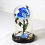 Hot Sell Lasting Preserved Yellow Rose Flowers in Glass Dome for Christams Gifts
