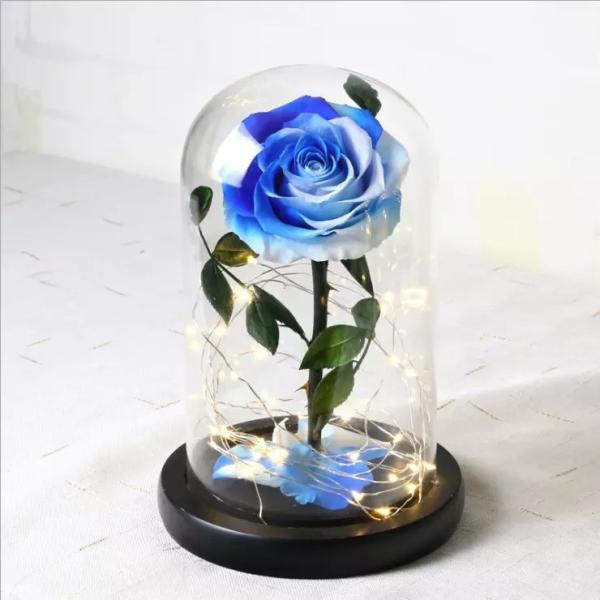 Buy cheap Beautiful Preserved Rose in Glass Dome flower arrangement for lover Everlasting Flowers Preserved Flowers from wholesalers