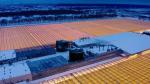 Arched Roof Mushroom Cultivation Sunlight Greenhouse Package Gross Weight 1000