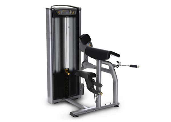 Buy cheap Professional Commercial Gym Equipment Muscle Building OEM ODM Service from wholesalers