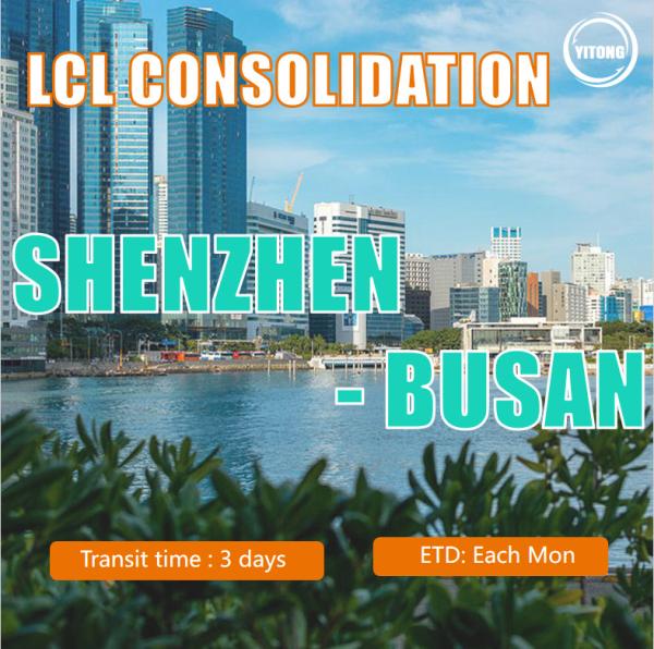Buy cheap LCL Consolidation From Shenzhen To Busan from wholesalers