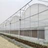 Buy cheap Hydroponic Growing Systems Greenhouse Low Cost Greenhouse Agriculture Plastic Greenhouse from wholesalers